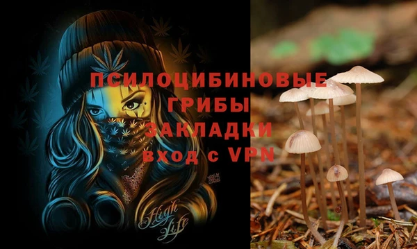 jwh Алексеевка