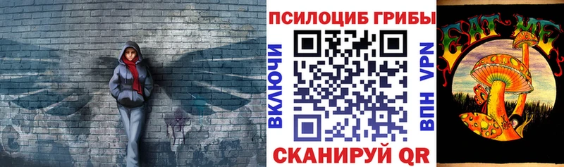 где купить наркоту Курлово blacksprut вход Галлюциногенные грибы прущие грибы